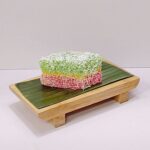 Kuih Sago